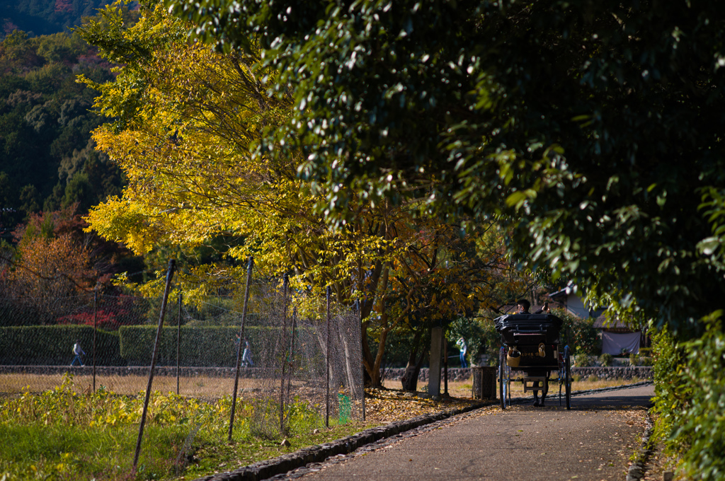 京都嵯峨の風景　3