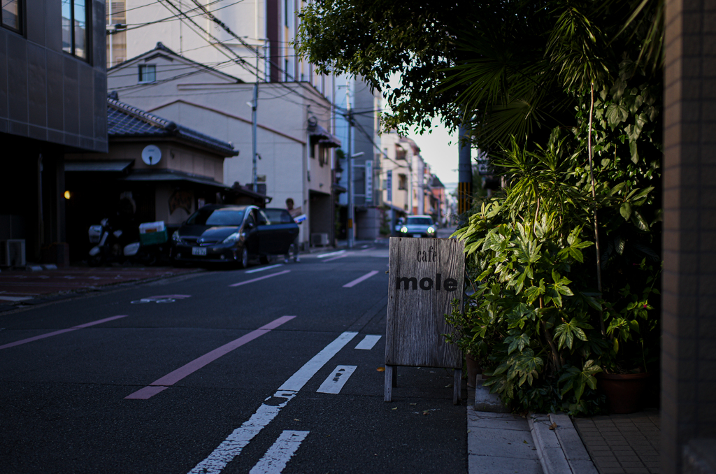 木々の中のカフェ