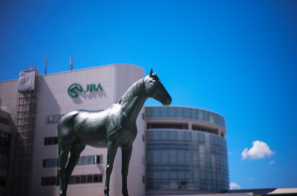 真夏の競馬場