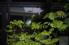 窓辺のシャンパン