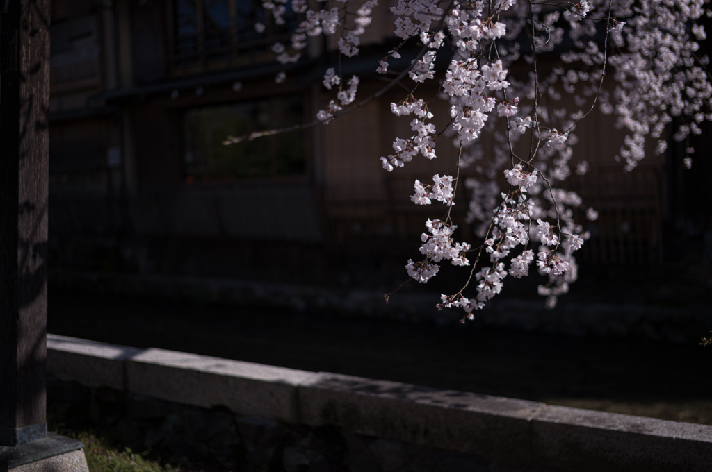 白と黒