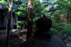 京都八竹庵　中庭1