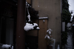 雪　積もり