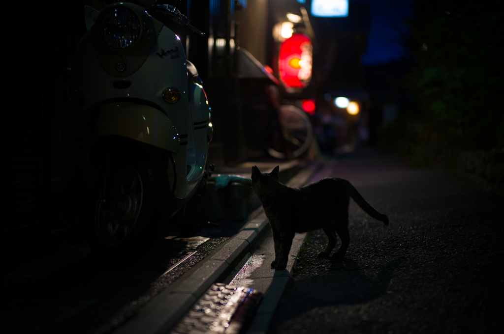 夜の訪問者