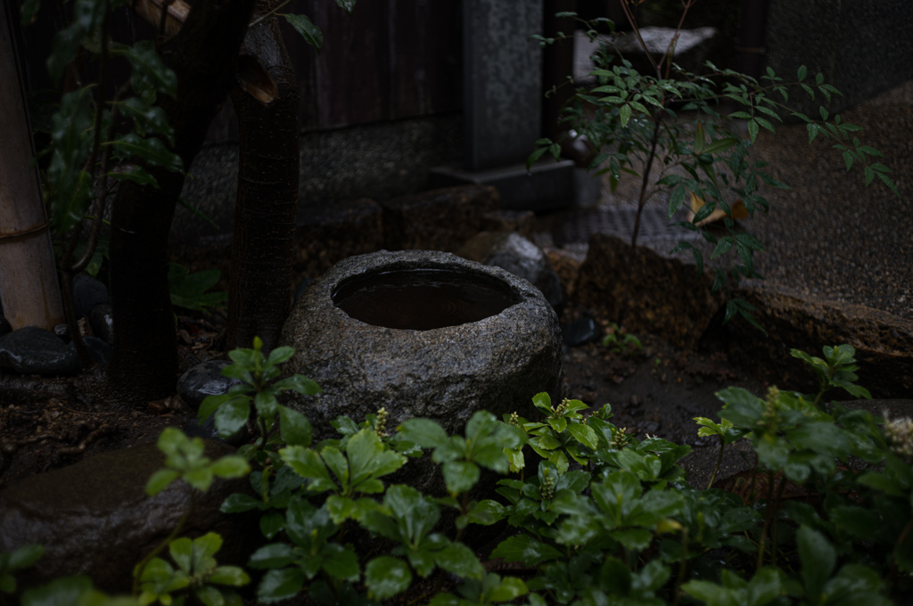 雨の中で