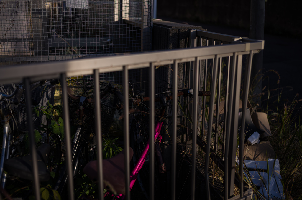 伏見午後の散歩　7