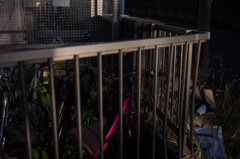 伏見午後の散歩　7