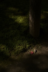 光と影と。その13