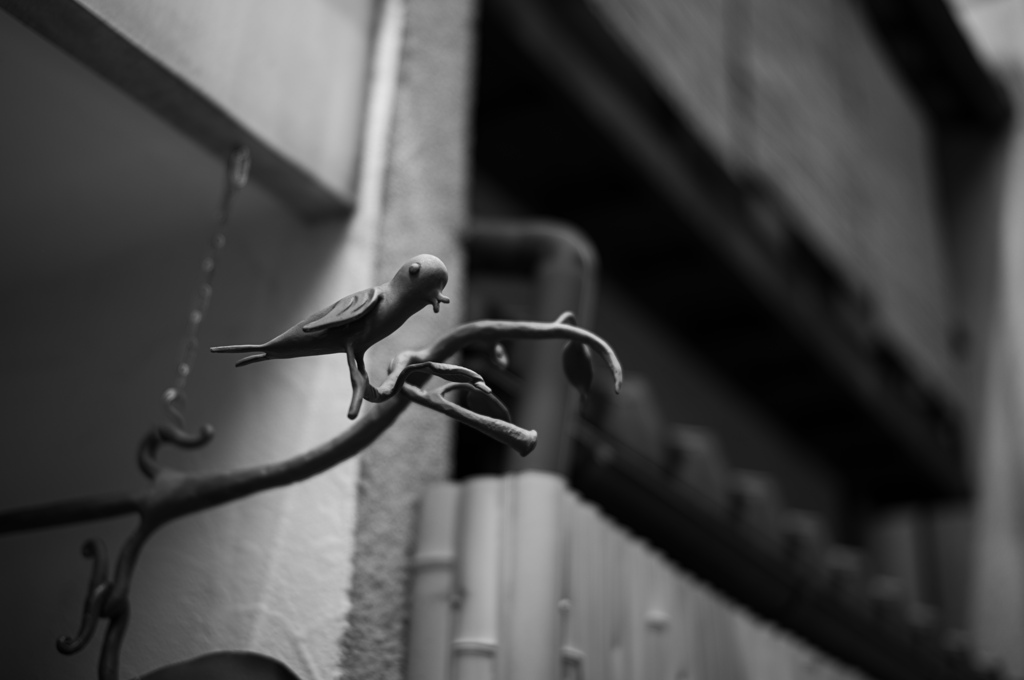 鉄の小鳥