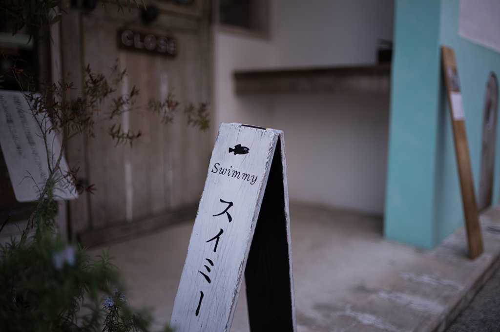 陸の魚