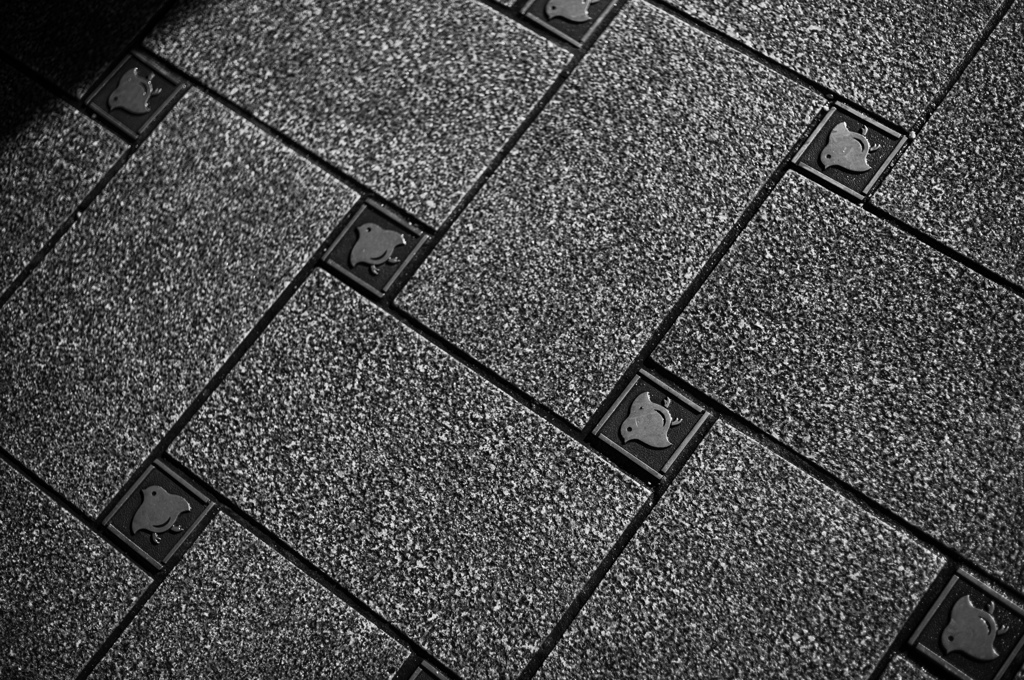 いつもの風景　撮り比べ