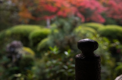 詩仙堂　紅葉　2