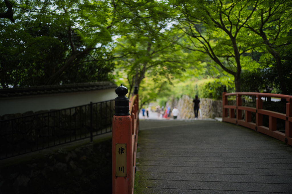 大原の木橋