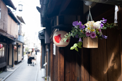 先斗町花祭り　5