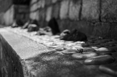 木漏れ日の中で