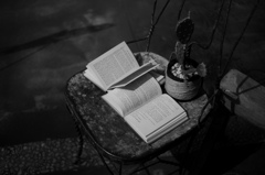 椅子の洋書