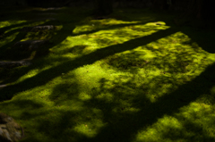 光と影と。その6