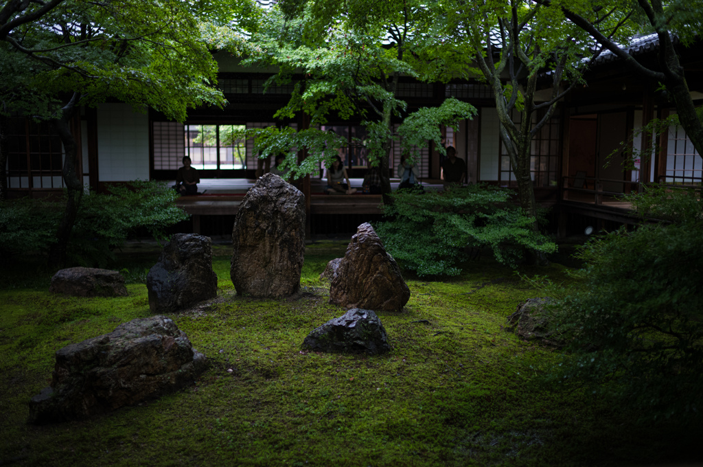 雨の庭