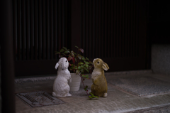 玄関のうさぎ