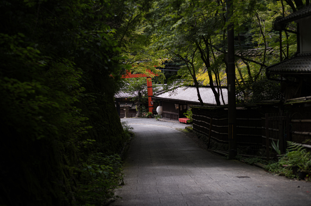 木陰と鳥居