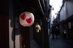 先斗町　花箱祭り　5
