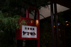 京都嵯峨嵐山　2