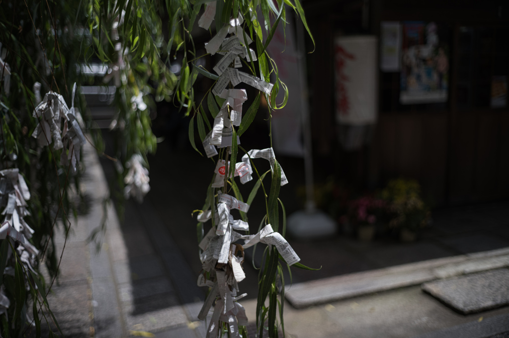 柳御籤