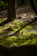 光と影と。その2