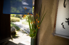オレンジの花