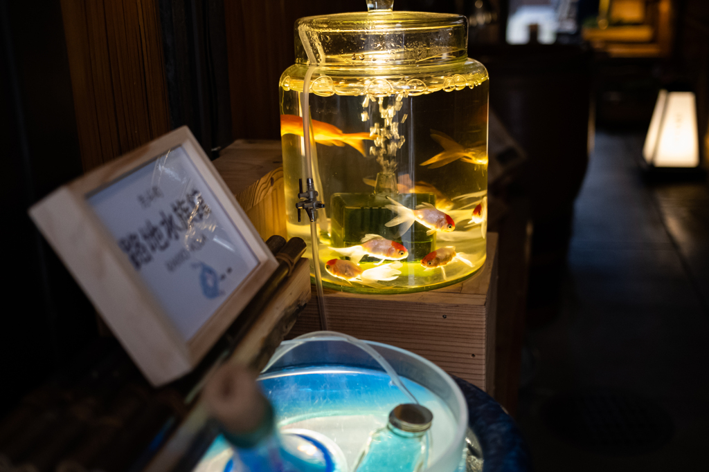 ガラスの中の金魚