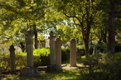 鶴見緑地公園　12