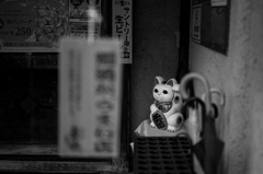 招かれて