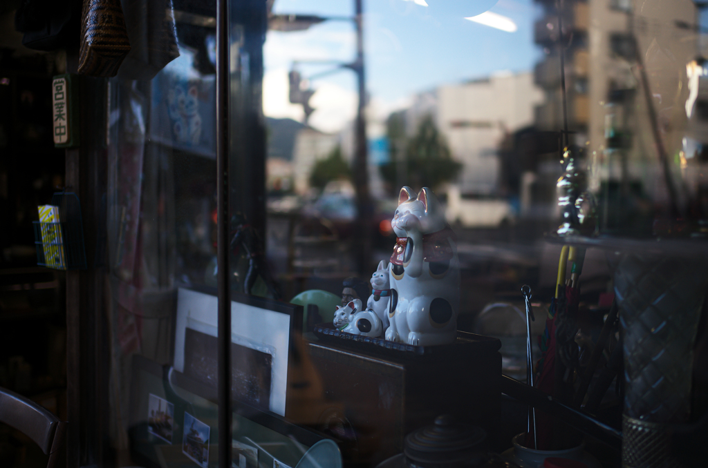 招いてニャンコ