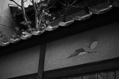 富士に太陽