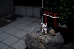 小さな鳥居