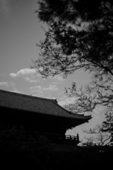 京都的風景 京都的風景