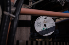 有名なタヌキ？