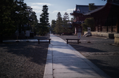 京都妙心寺　散策6