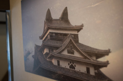 猫猫寺　猫国武将展 1