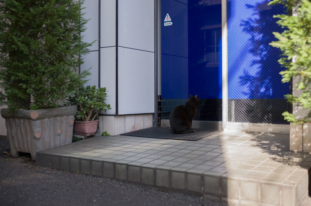 大阪新世界　12