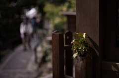 小さな神社