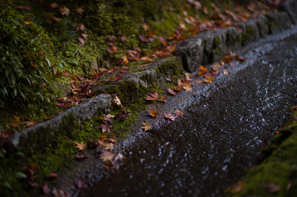京都南禅寺　紅葉15