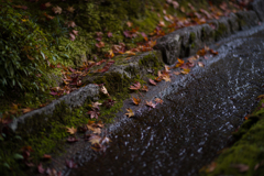 京都南禅寺　紅葉15