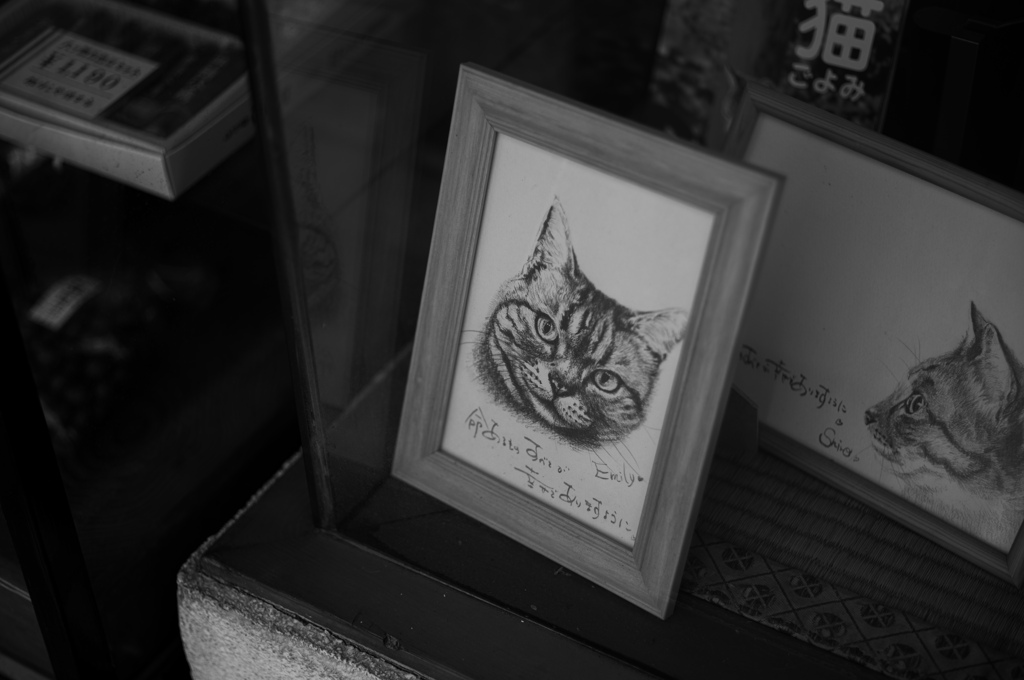 手描きにゃんこ