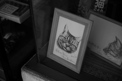 手描きにゃんこ