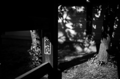 境内の紅葉