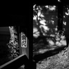 境内の紅葉