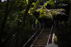 吉田神社2