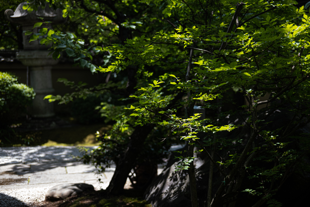 京都清宗根付館