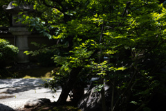 京都清宗根付館